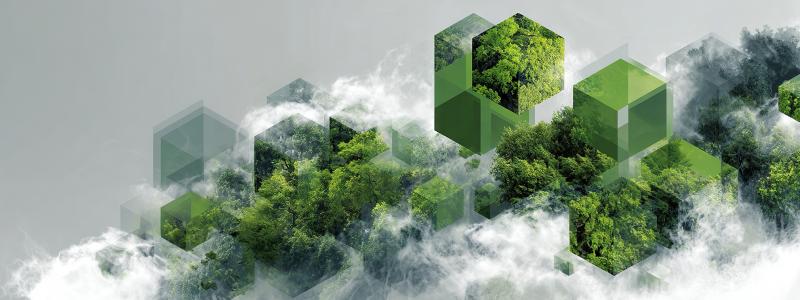 Sustainability