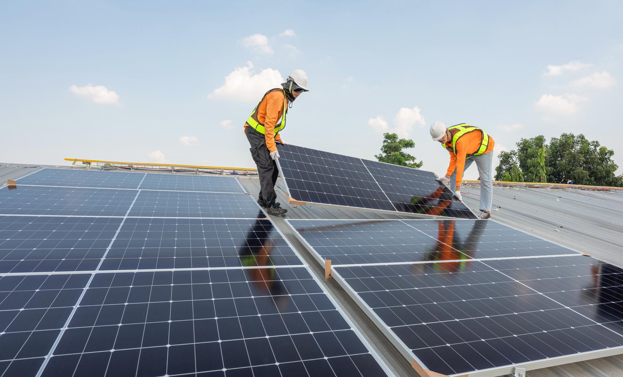 Investing in Sustainability