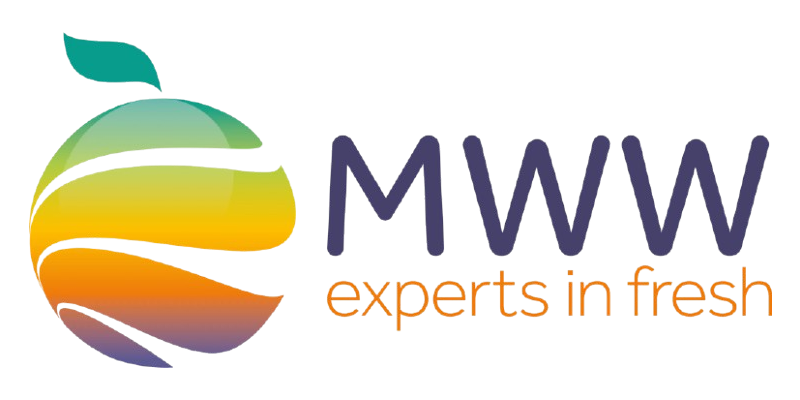 Minor Weir and Willis