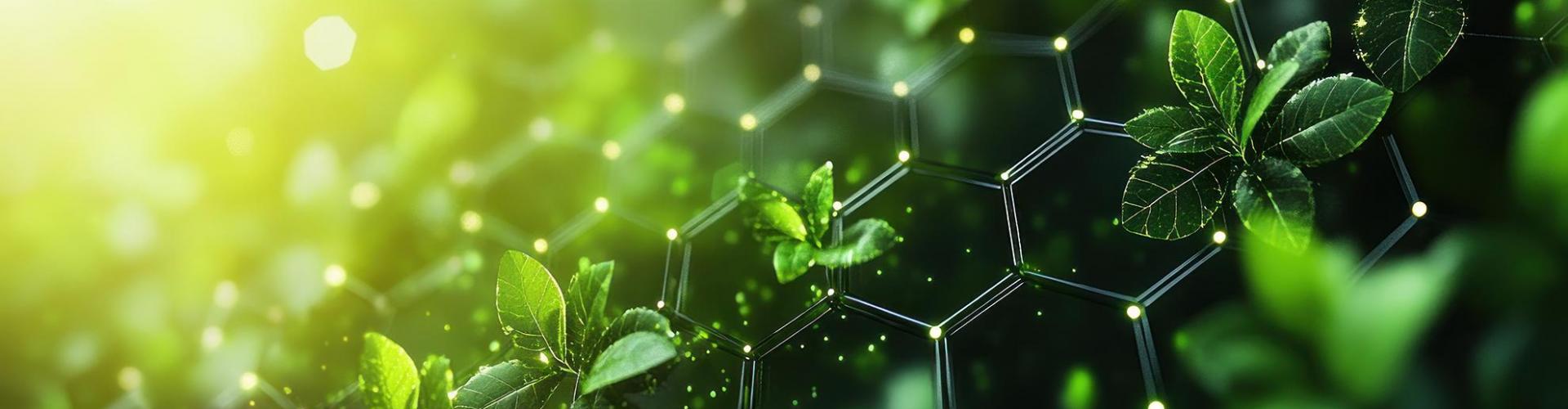 Industrial energy efficiency and cost relief  in Budget 2025 background