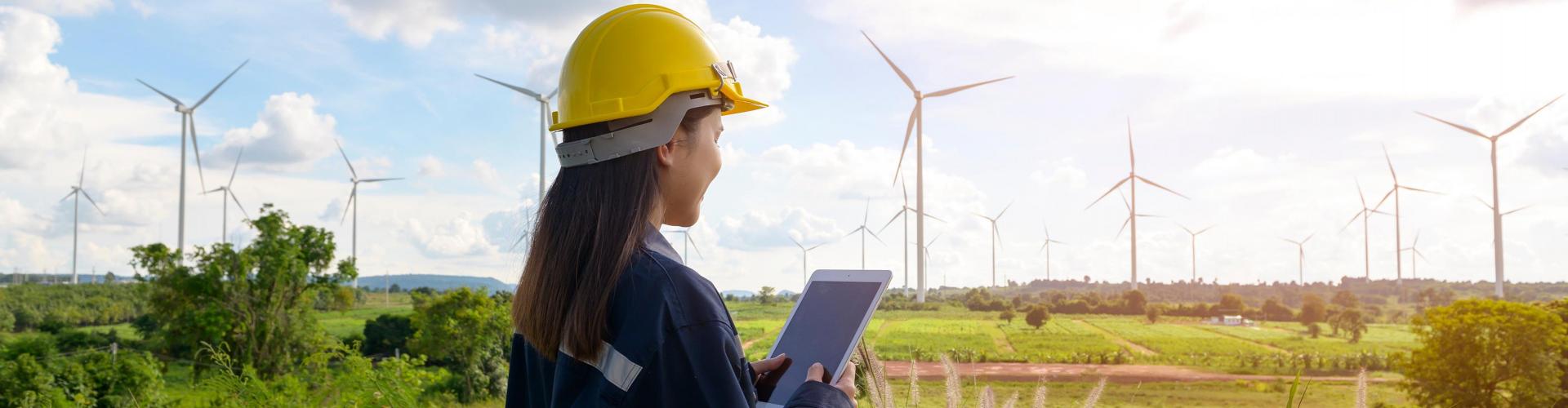 Sustainability background