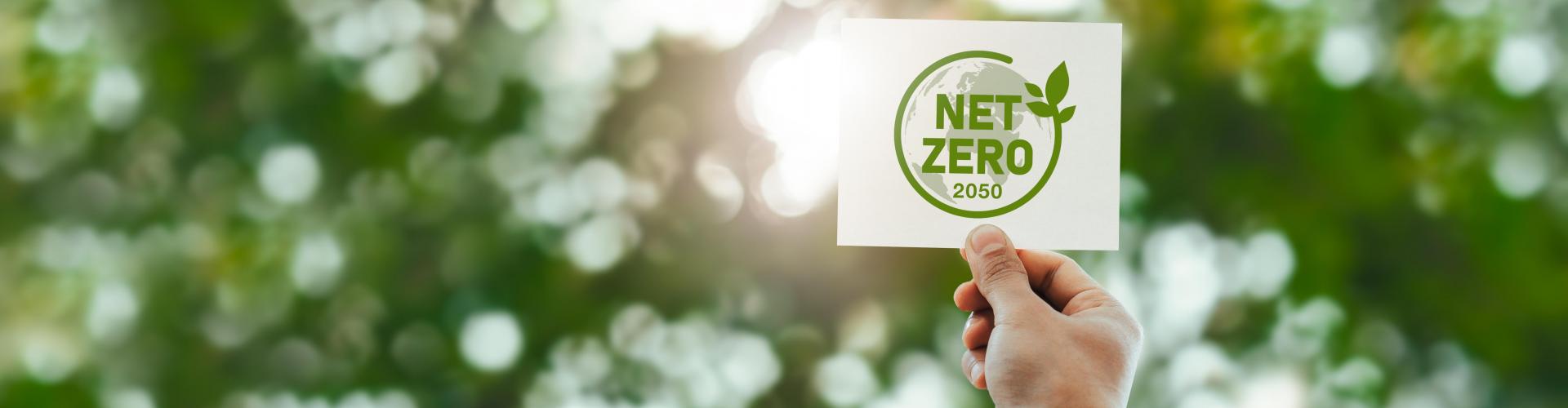 What is Net Zero Emissions 2050? background