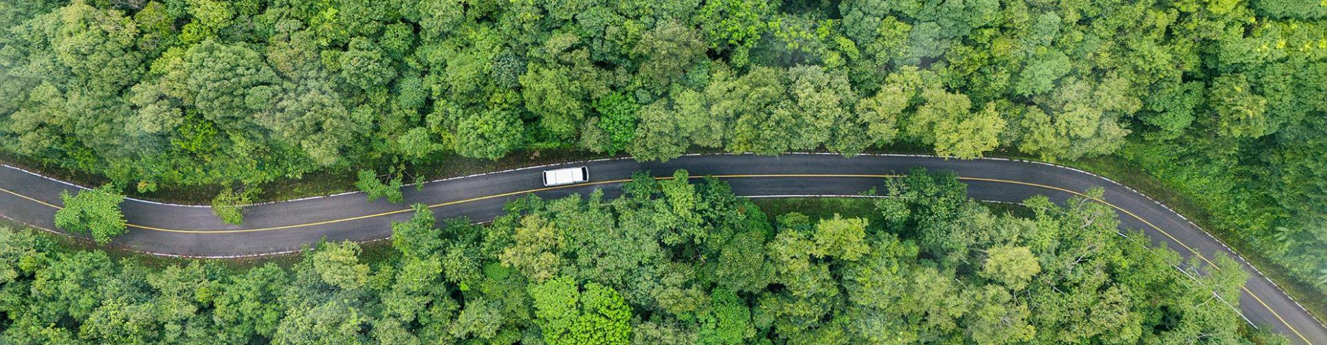 Net Zero Week: Why Pro Enviro Is Proud to Take Part background