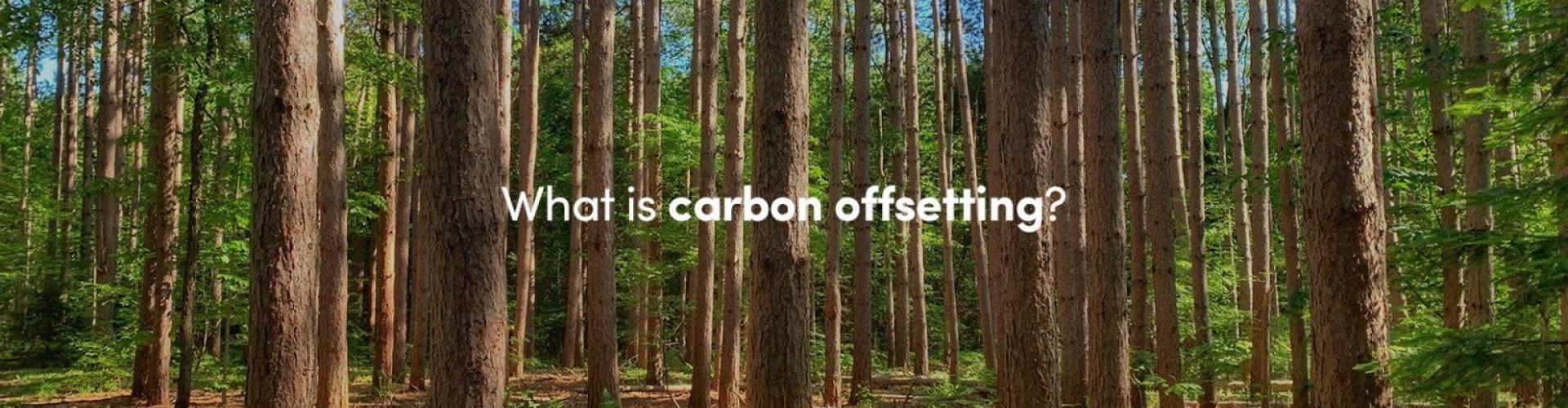 The Dark Side of Carbon Offsetting: Myths and Realities background